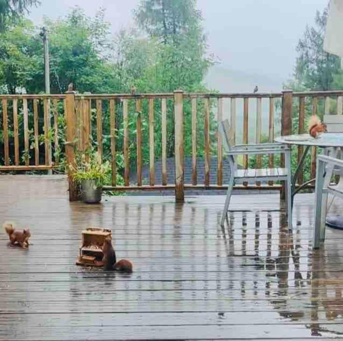 Scottish Highland Tyndrum Upper Station Holiday home