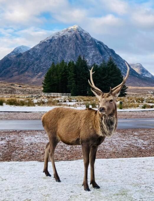 Scottish Highland Tyndrum Upper Station Holiday home Crianlarich